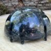 Creepy Crawly Magnet